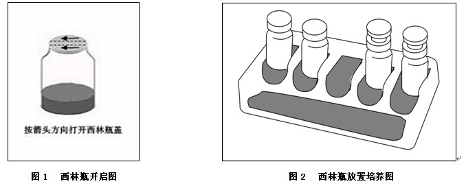 西林瓶的使用方法