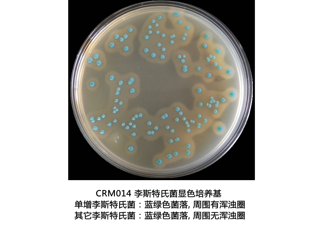 李斯特氏菌顯色培養(yǎng)基平板生物圖冊(cè)