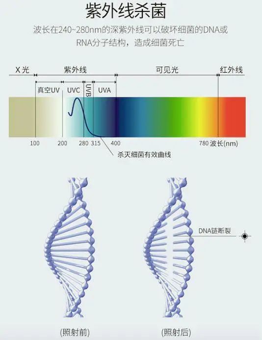 紫外線(xiàn)殺菌