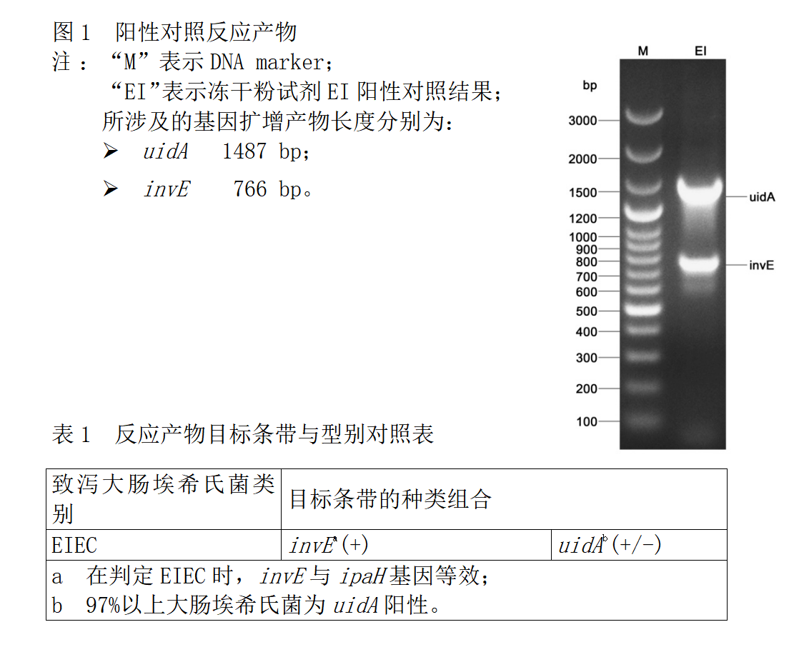 EIEC多重PCR檢測試劑盒結(jié)果判斷