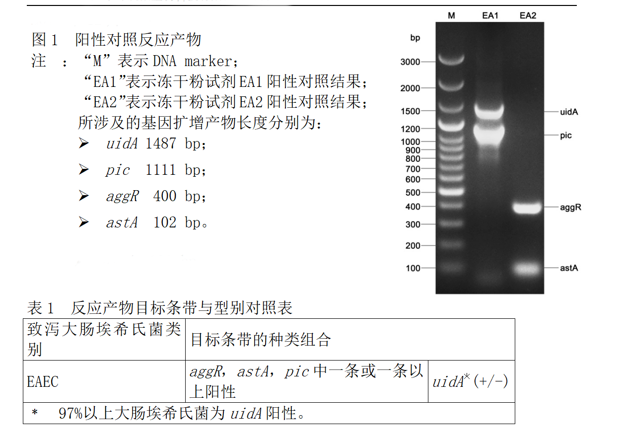 EAEC多重PCR檢測(cè)試劑盒判讀結(jié)果