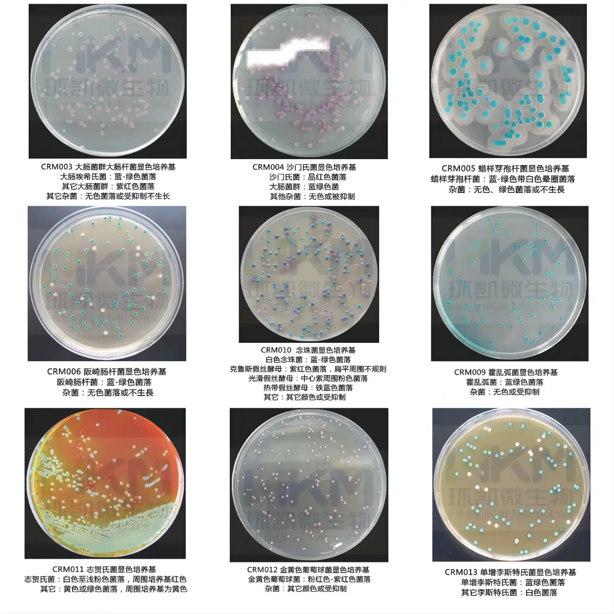 環(huán)凱顯色培養(yǎng)基系列產(chǎn)品詳細介紹